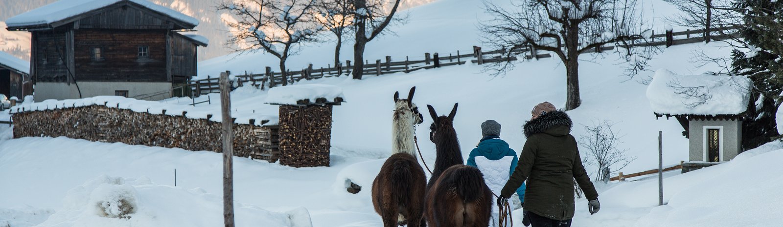 Llama adventure | © Fabian Lassnig-Sportalpen