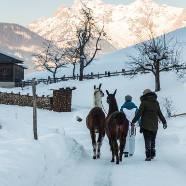 Llama adventure | © Fabian Lassnig-Sportalpen