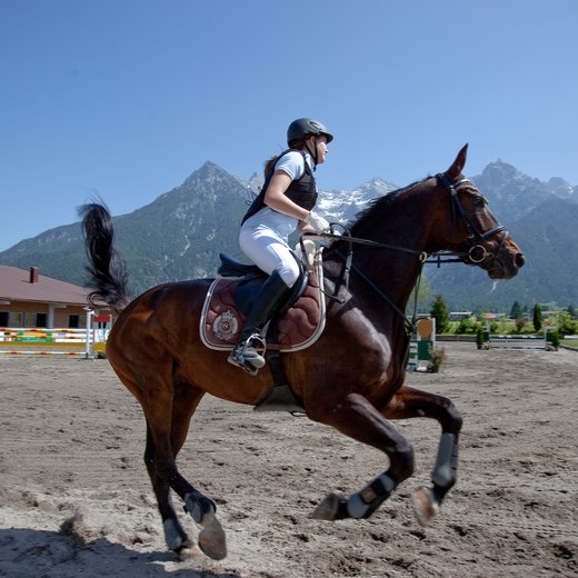 Reiten | © Andreas Langreiter