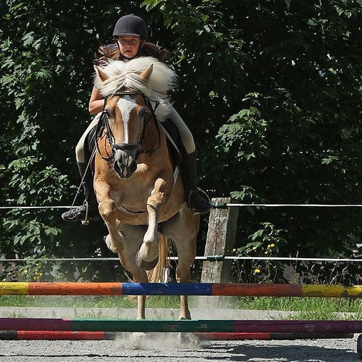 Springreiten jumping  | © TVB PillerseeTal