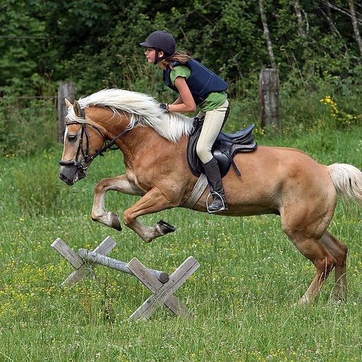 Horseback riding | © TVB PillerseeTal