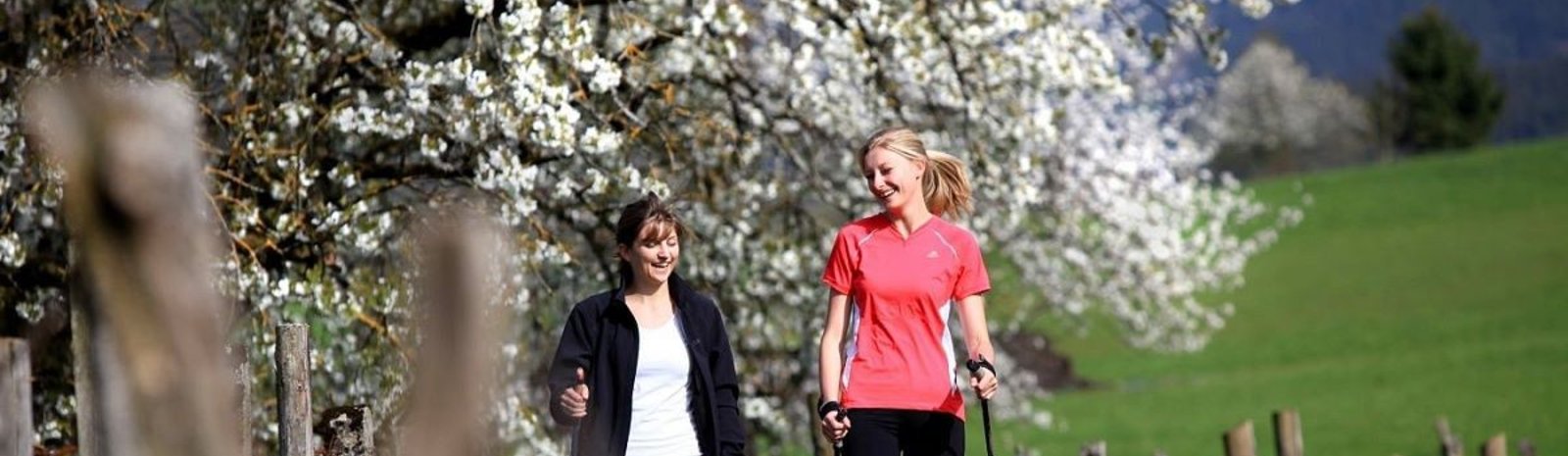 Nordic Walking | © TVB PillerseeTal