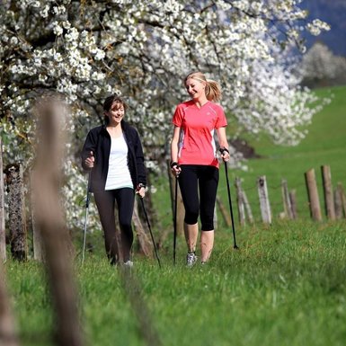 Nordic Walking | © TVB PillerseeTal