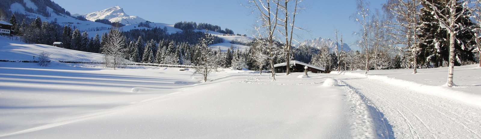Fieberbrunn Lauchsee | © TVB PillerseeTal