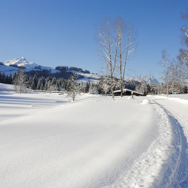 Fieberbrunn Lauchsee | © TVB PillerseeTal