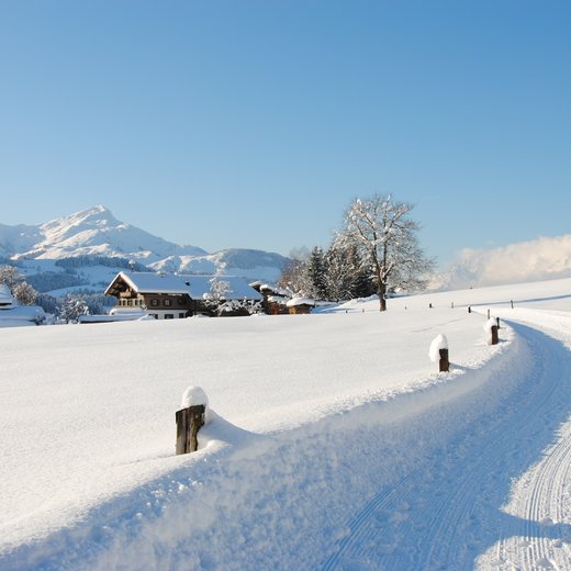 Fieberbrunn Schönau-Pertrach | © TVB PillerseeTal