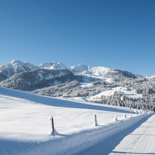 Fieberbrunn Hafenberg | © TVB PillerseeTal