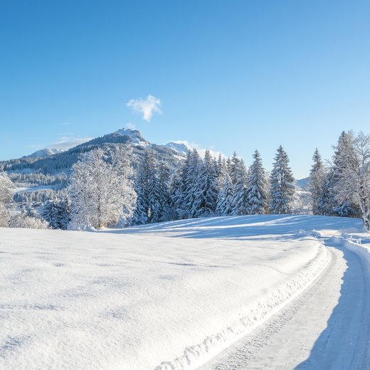 Fieberbrunn Tragstätt | © TVB PillerseeTal