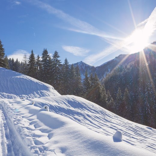 Zillstattweg Wanderweg  | © TVB PillerseeTal