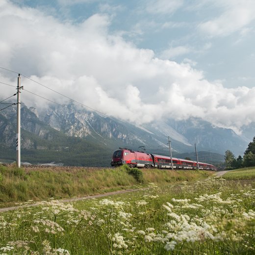 Grüner Herbst | © Regina Recht
