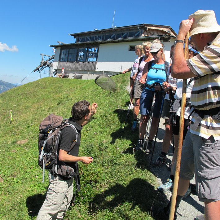 Wandertour mit Kindern um Insekten zu sehen | © Bergbahnen Fie