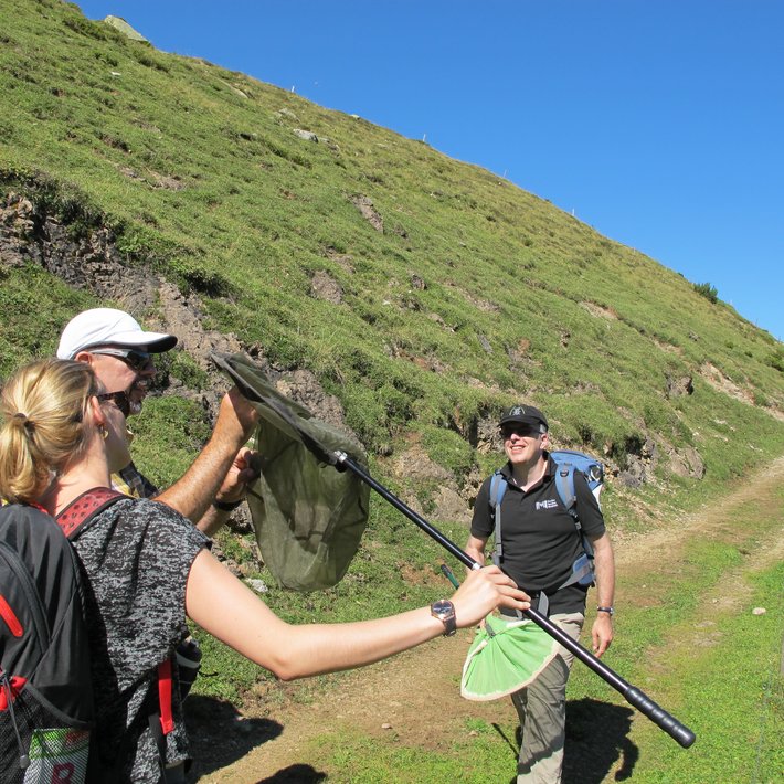 catching Butterflies | © Bergbahnen Fieberbrunn