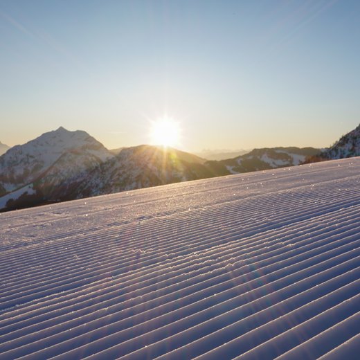 First Line | © fieberbrunn.com