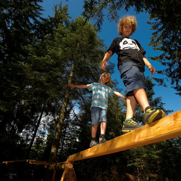 Timoks Waldseilgarten | © Bergbahnen Fieberbrunn