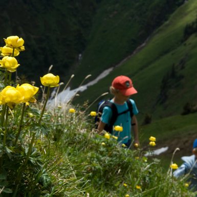 Flower Path | © Bergbahnen Fieberbrunn