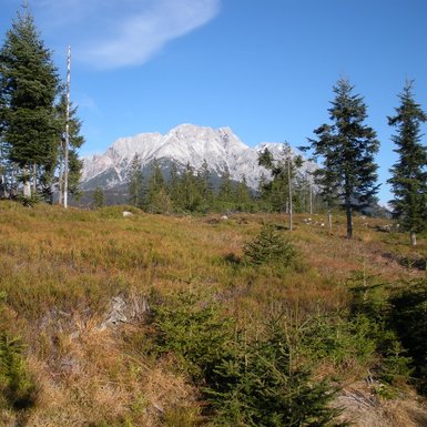 Oberhalb der Grießner Alm