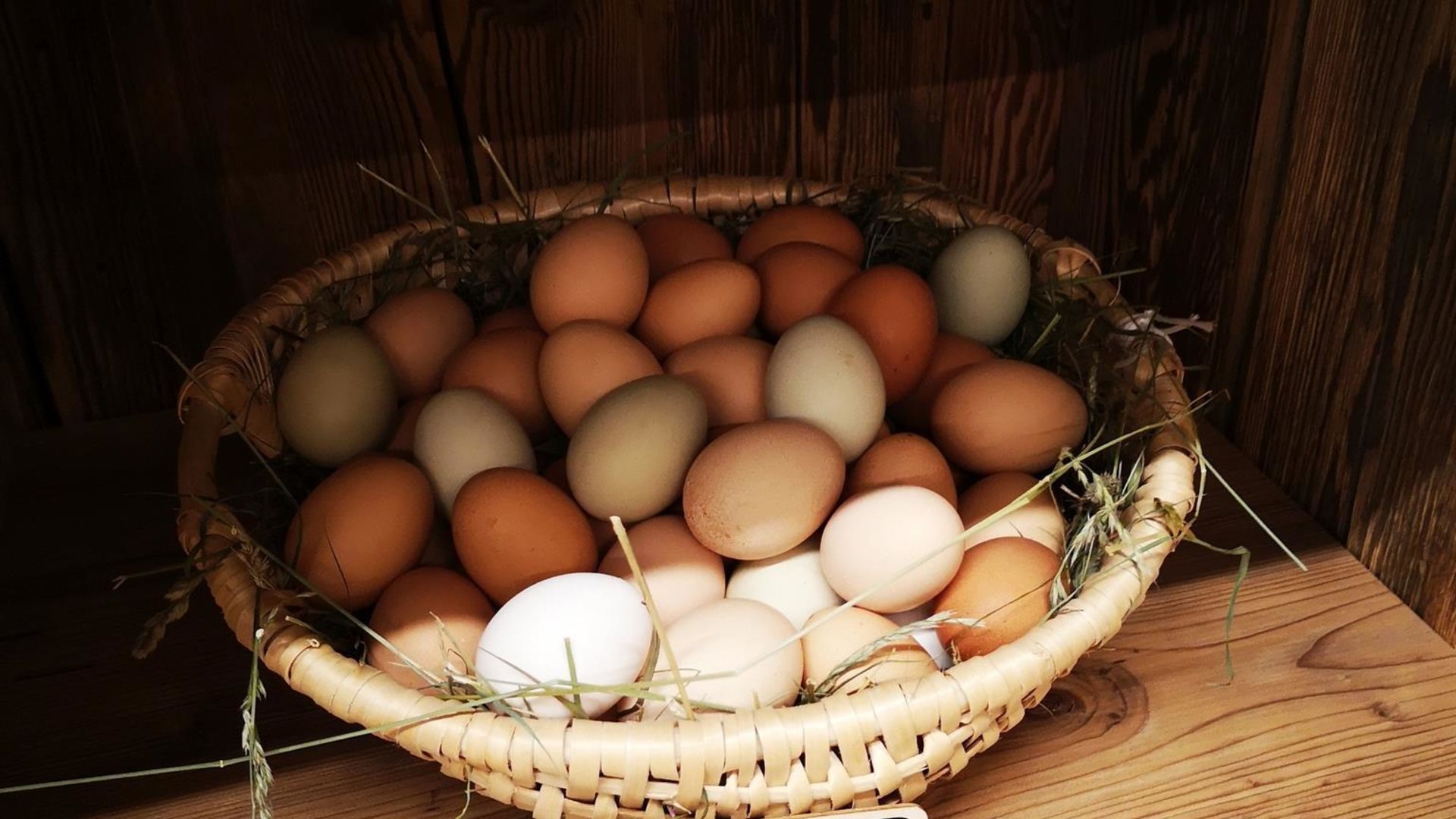 Hofladen Burgwies 1 | © Marion Pichler Hofladen Burgwies 1 | © Marion Pichler