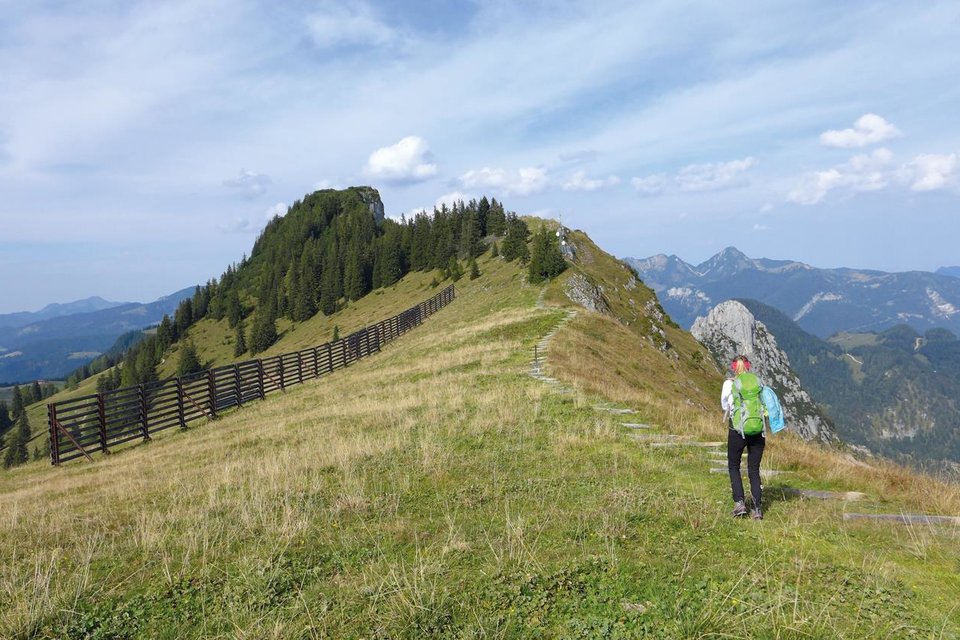 Almenwelt Lofer - Wanderweg Grubhörndl | © Almenwelt Lofer
