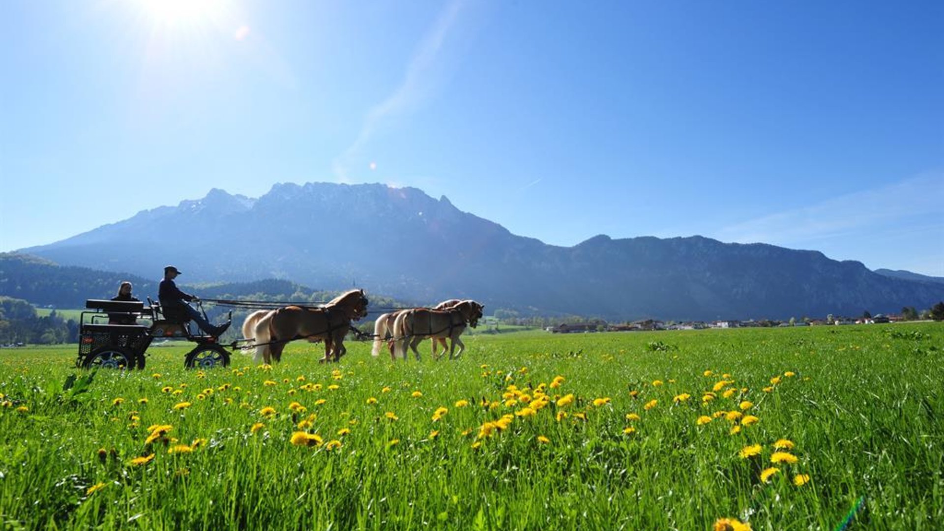 Vierspänner Vierspänner