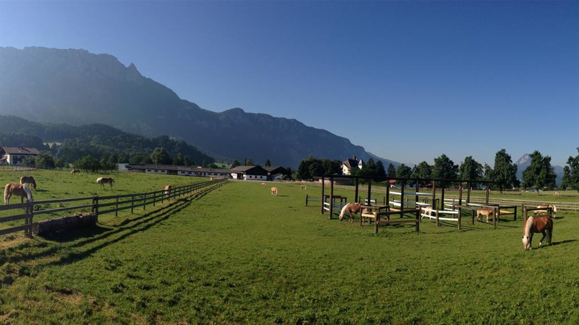 Fohlenhof Ebbs 1 Fohlenhof Ebbs 1