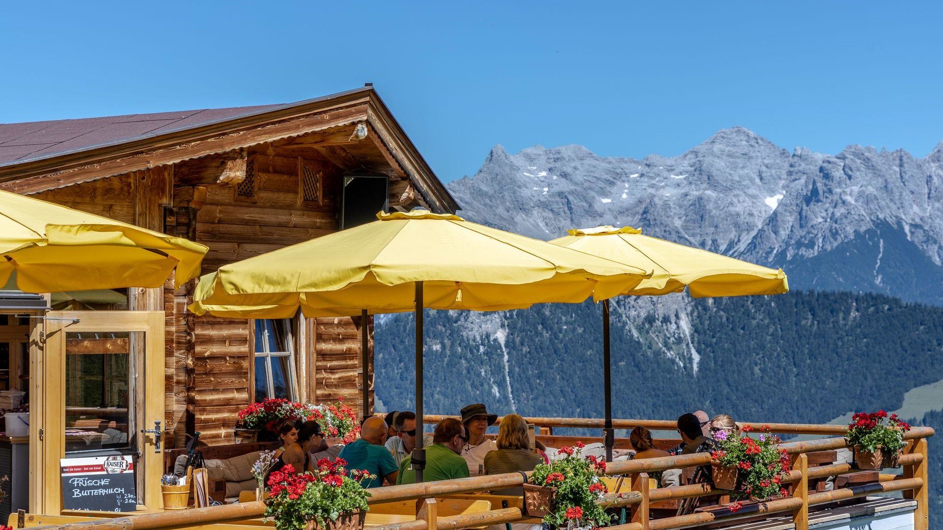 Lärchfilzhochalm Sommer (2) Lärchfilzhochalm Sommer (2)