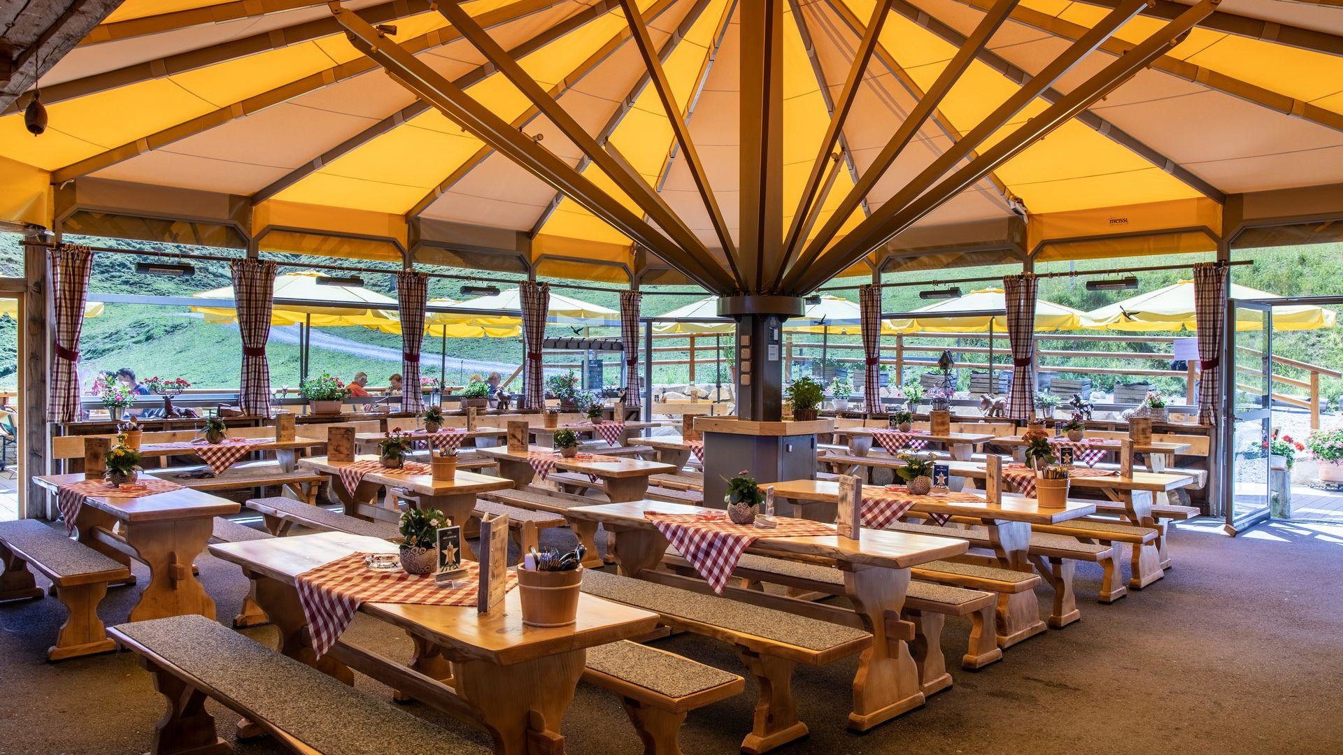 Lärchfilzhochalm Sommer Schrim Lärchfilzhochalm Sommer Schrim