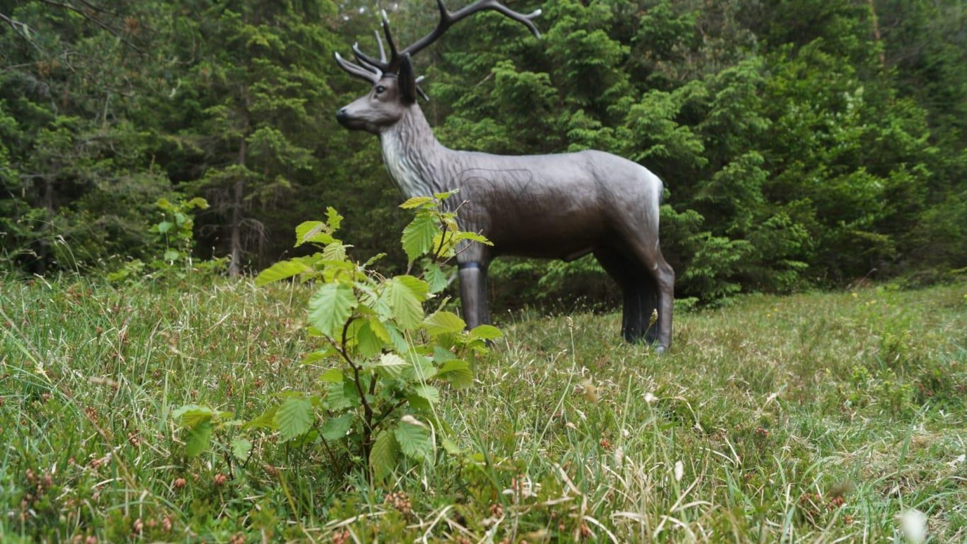 Bogenparcour