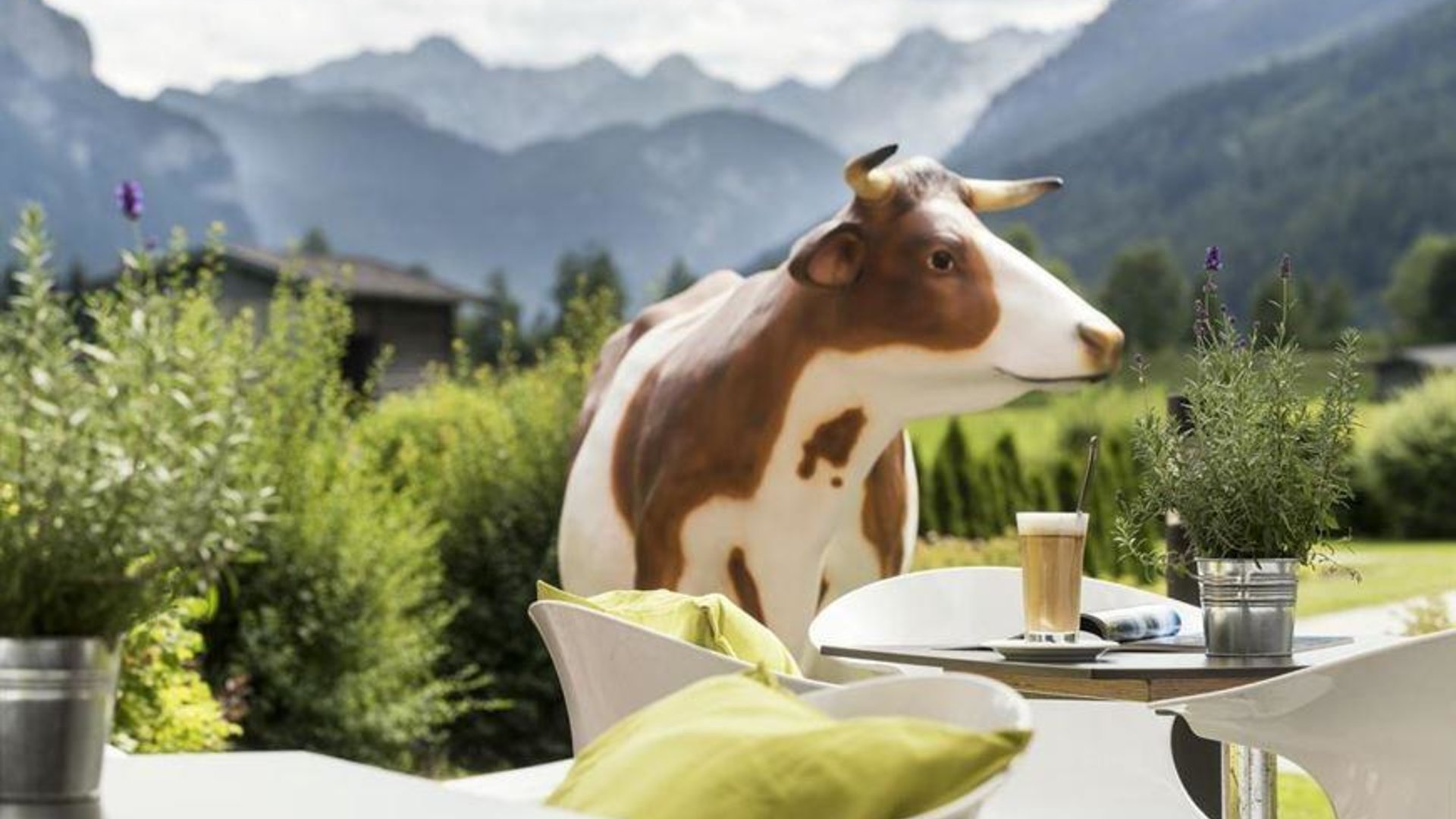 Tierischer Besuch auf der Terrasse