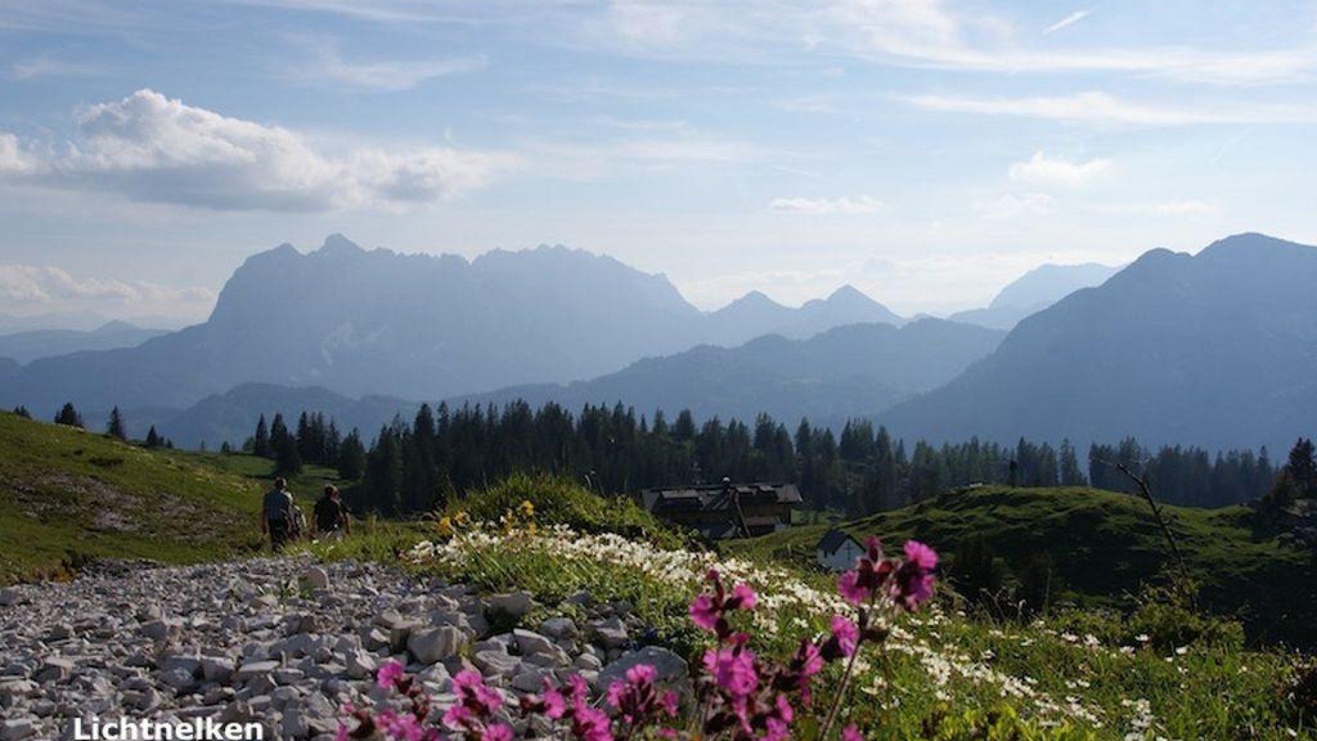 Blick auf den Wilden Kaiser | © Straubingerhaus
