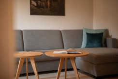 Wohnzimmer Fortuna Fireside Deluxe (10)