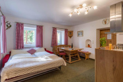 Alpen_Residenz_Fieberbrunn_Rosenegg_72_Appartement Alpen_Residenz_Fieberbrunn_Rosenegg_72_Appartement