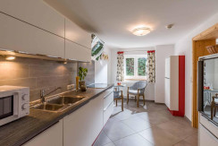 Alpen_Residenz_Fieberbrunn_Rosenegg_72_Appartement Alpen_Residenz_Fieberbrunn_Rosenegg_72_Appartement