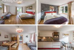 Steinplatte Steinplatte