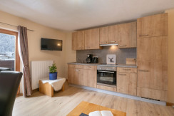 Haus_Alpenrose_Elmbachweg_20_Waidring_Wohnung_Geor