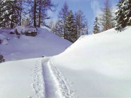 Eine Skitour in der Winterlandschaft