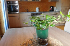 Blick vom Esstisch in die Küche Blick vom Esstisch in die Küche