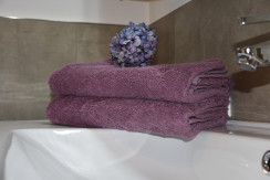 Apartment Bergfieber