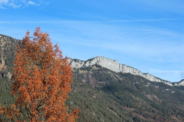 Umgebung Sommer | © Apartment Steinplatte Tirol