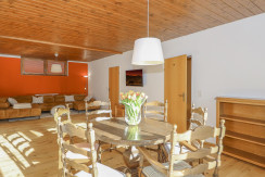 lichtdurchflutetes Wohnzimmer mit Essecke