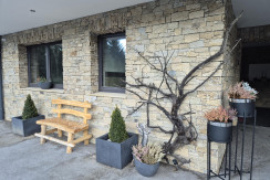 1000052864 1000052864