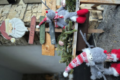 1000052865 1000052865