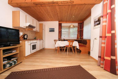Wohnraum/Kochnische Wohnraum/Kochnische