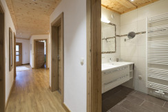 Hausgang mit Blick ins Badezimmer Hausgang mit Blick ins Badezimmer