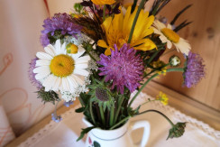 IMG_20210522_151548 IMG_20210522_151548