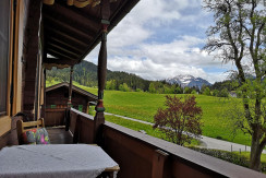 IMG_20210522_145524 IMG_20210522_145524