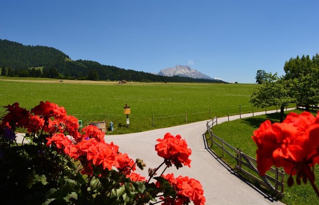 Ausblick vom Balkon