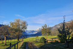 FeWo Wilder Kaiser