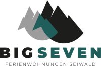 50785999 Logo Big Seven 879D1348