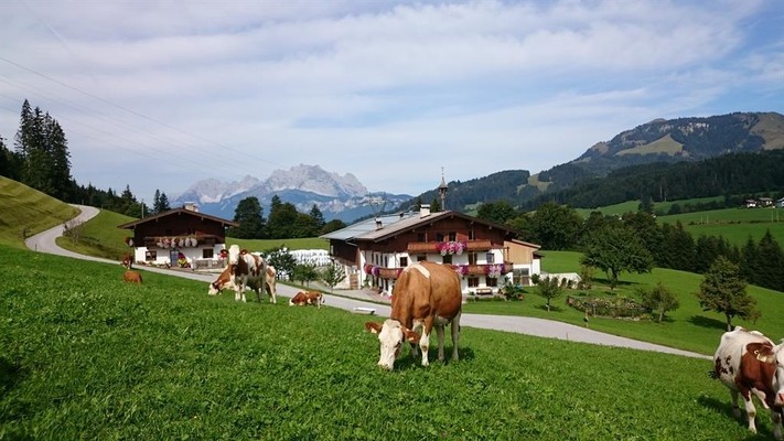 unser Hof und der "Wilde Kaiser"