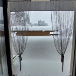 Photo of Apartment 6